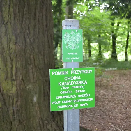 別荘 W Srodku Lasu Sławoborze