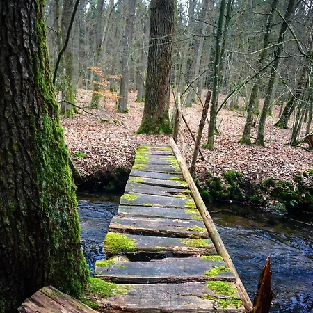 בית נופש W Srodku Lasu *