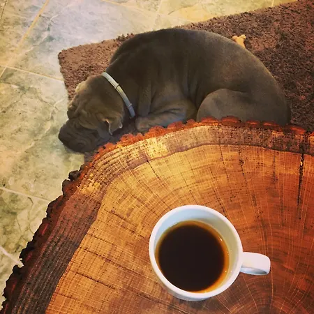 W Srodku Lasu * Slawoborze