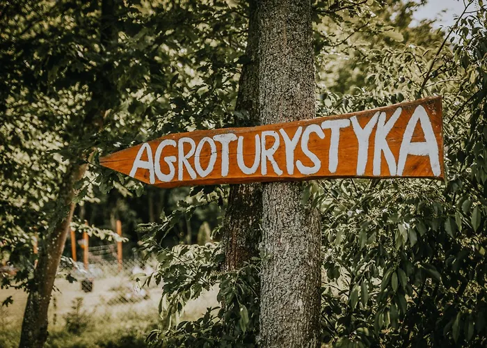 W środku Lasu * Slawoborze