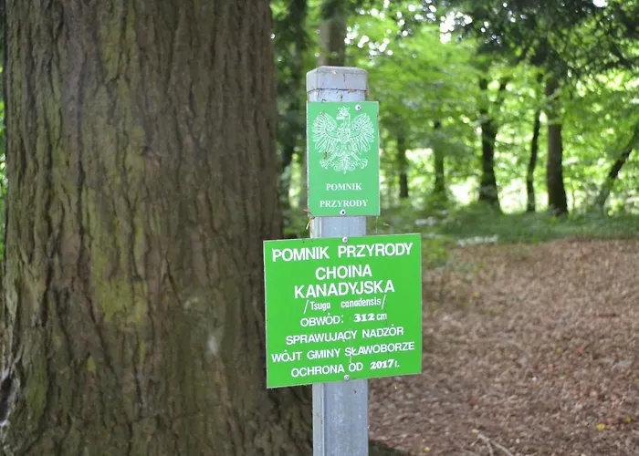 Prázdninový dům W Srodku Lasu Slawoborze