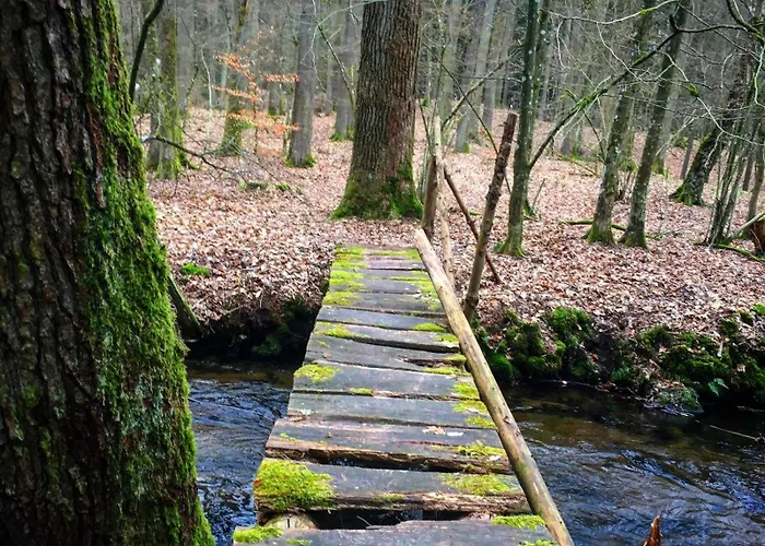 Prázdninový dům W Srodku Lasu *