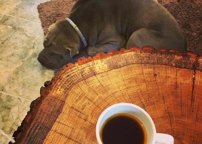 W Srodku Lasu * Slawoborze